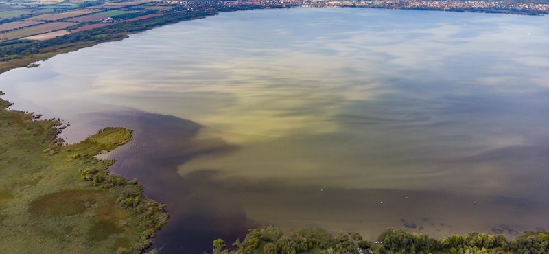 It turned out why Lake Balaton is more algae