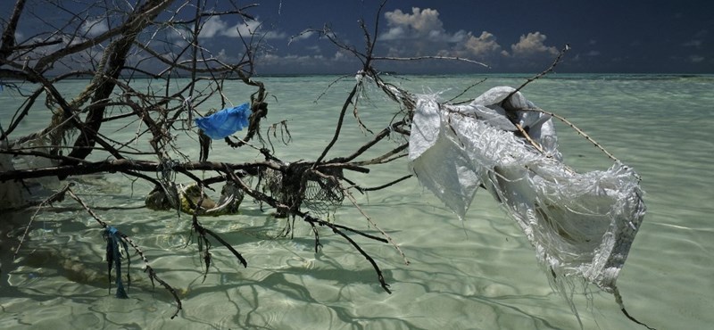 ¿Playa sin plástico?  Te mostraremos si eso es posible