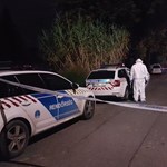 A 20-year-old man died in Pécs that night.