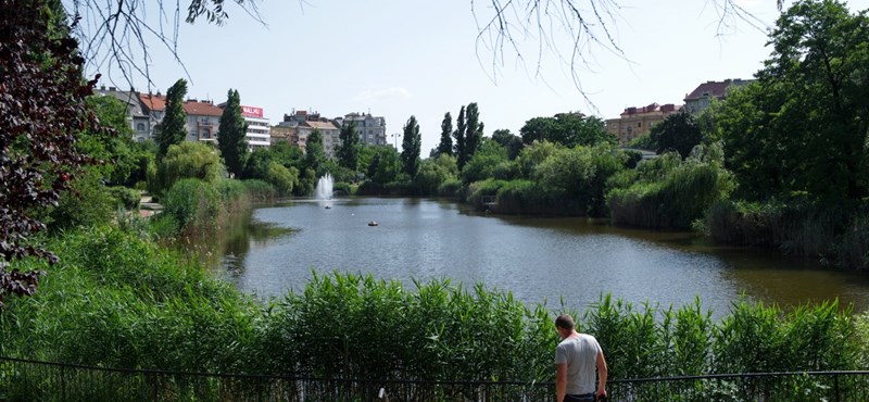 Ingatlan: Folytatja a nyomozást a rendőrség a Feneketlen ...