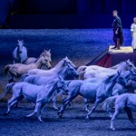Cultura en el NER: cientos de millones de teatros ecuestres, Vidnyánszky puede marcar miles de millones