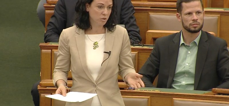 Tímea Szabó would affirm in the Constitution that Viktor Orbán and Lőrinc Mészáros are also men