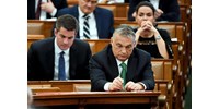 Even most fideszians think that Orbán cannot be replaced 