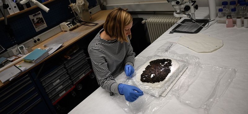 9,500-year-old finds emerge from beneath a melting Swiss glacier