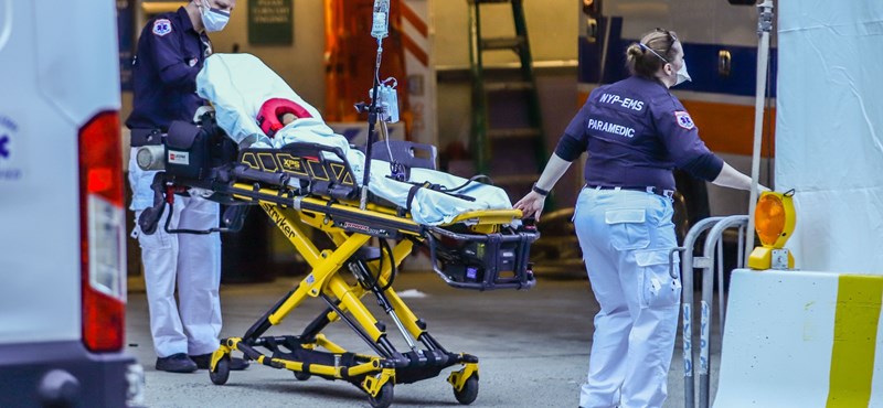 More than 7,000 people died in the epidemic in New York State 