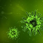 Record: coronavirus detected in 916 new infections in Hungary