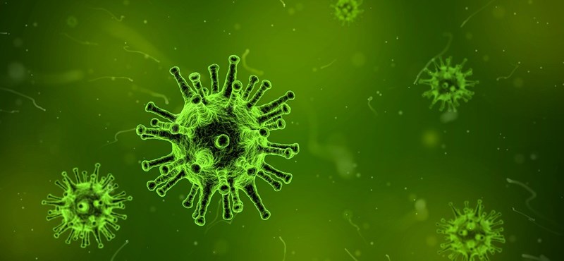 Record: coronavirus detected in 916 new infections in Hungary