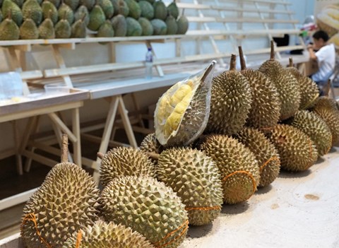 Tech Megfejtettek Hogy Miert Olyan Budos A Durian Hvg Hu